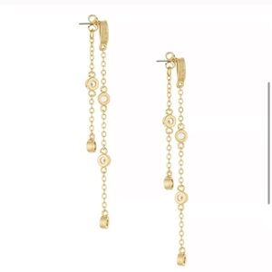 Ettika jewel dropped earrings